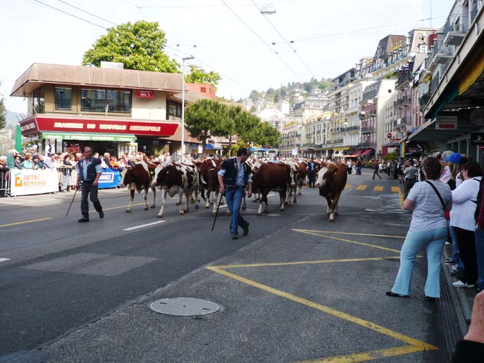 Montreux08_060